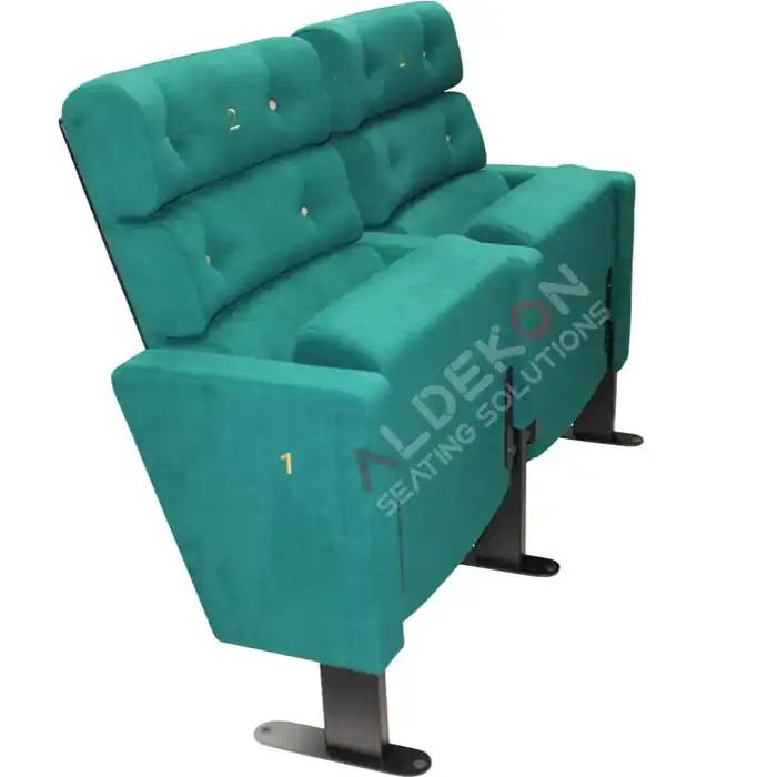 Janeiro-konferans-sinema-koltugu-10