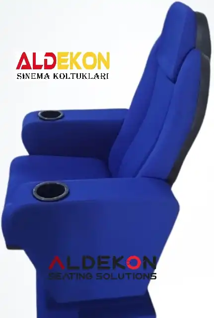 roza-konferans-sinema-koltugu-260