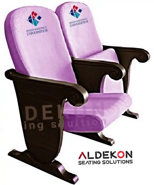 ruther-konferans-sinema-koltugu-56