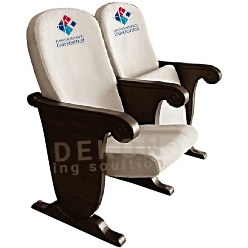 ruther-konferans-sinema-koltugu-63