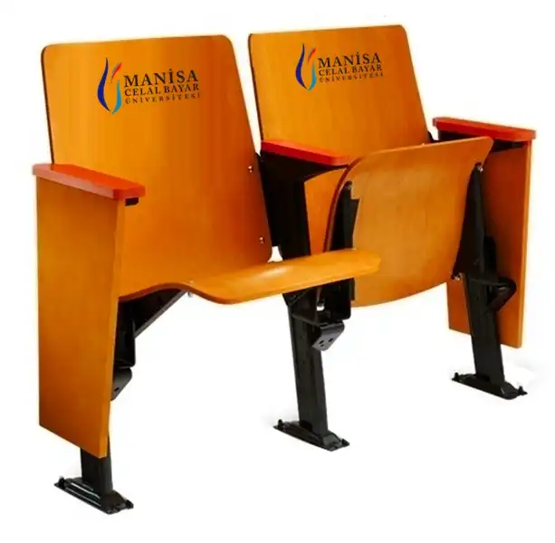 sheffield-amfi-konferans-sinema-koltugu-57