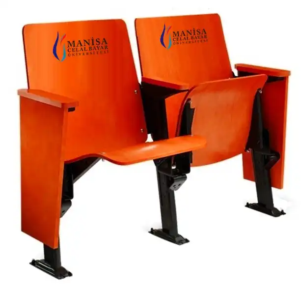 sheffield-amfi-konferans-sinema-koltugu-59