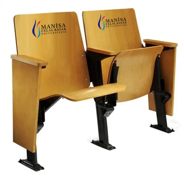 sheffield-amfi-konferans-sinema-koltugu-60