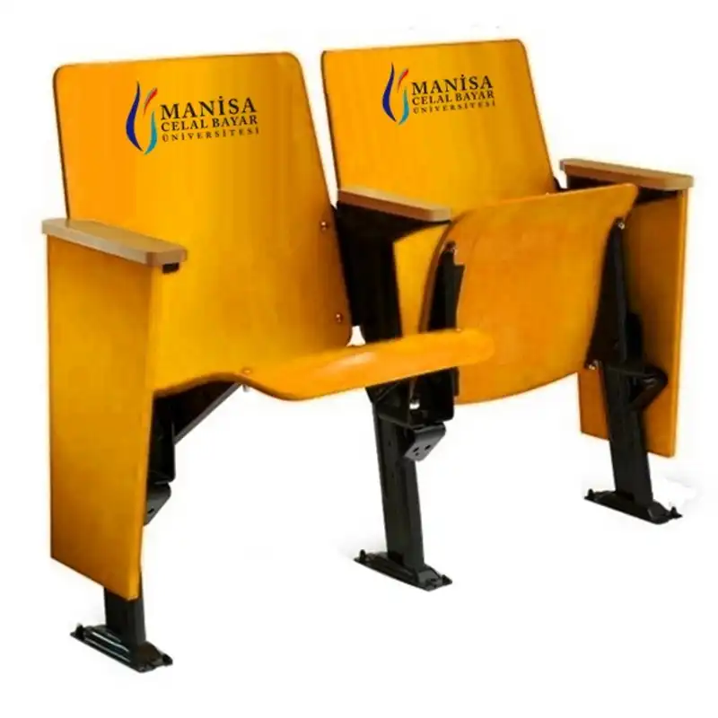 sheffield-amfi-konferans-sinema-koltugu-61