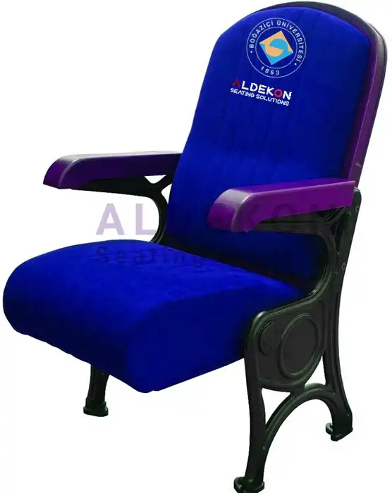 vomel-konferans-sinema-koltugu-57