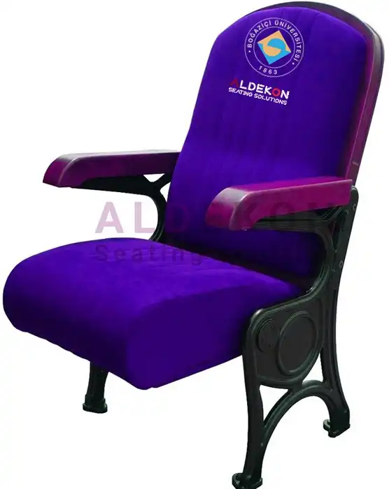 vomel-konferans-sinema-koltugu-59